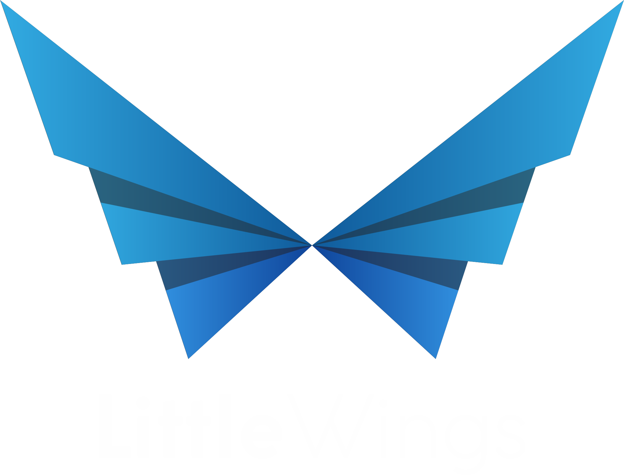 Little Wings Preschool logo